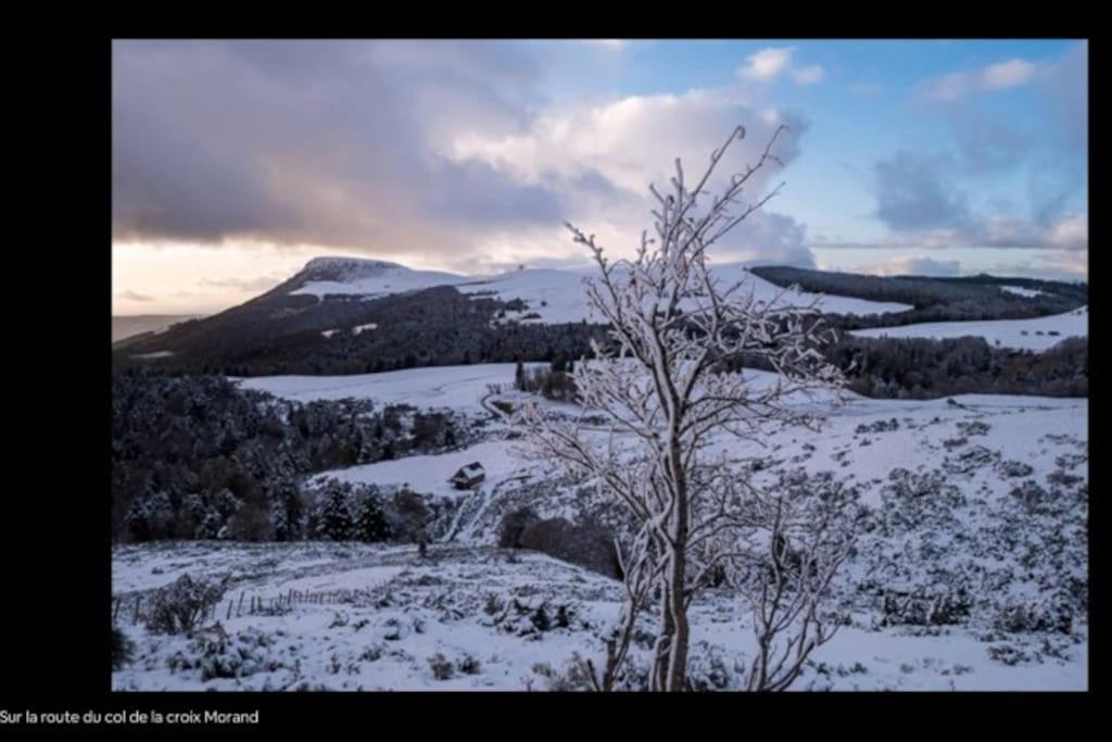 Appt Lumineux, Thermes Et Montagne La Bourboule Exteriér fotografie