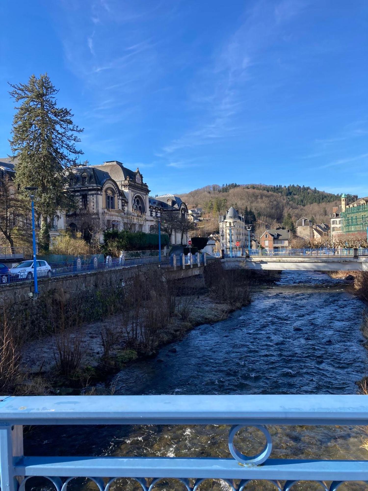 Appt Lumineux, Thermes Et Montagne La Bourboule Exteriér fotografie